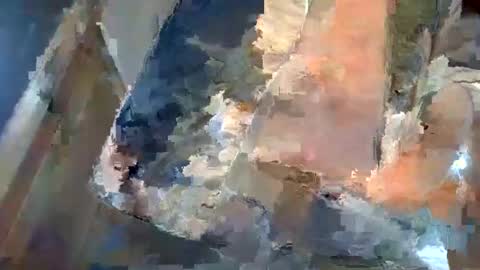 forest133 online show from January 5, 1:36 pm