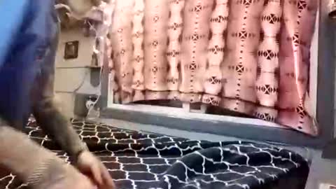 Foxbody Dave online show from January 15, 9:02 am