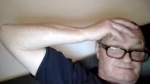 Wolfi online show from January 17, 9:06 am