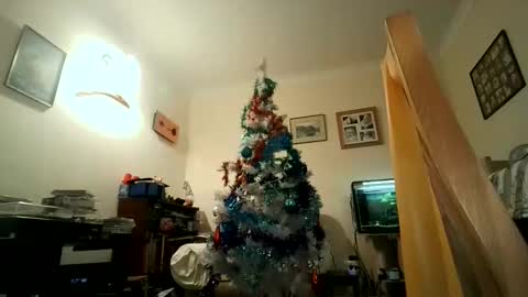 Snapshot of fredlittledick4 chatting on December 5, 7:51 pm Keith online show from December 5, 7:51 pm
