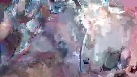 freshzozoboy online show from November 7, 7:56 am