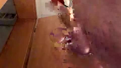 tobi88771 online show from November 21, 1:04 am