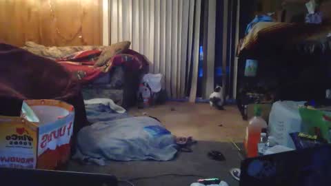 gamerfiend420 online show from December 21, 12:35 pm