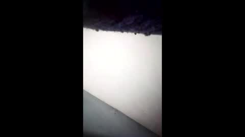 Ganis online show from April 26, 6:33 am