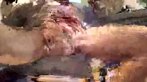 Snapshot of gazdadoka chatting on January 13, 7:21 am gazdadjoka online show from January 13, 7:21 am