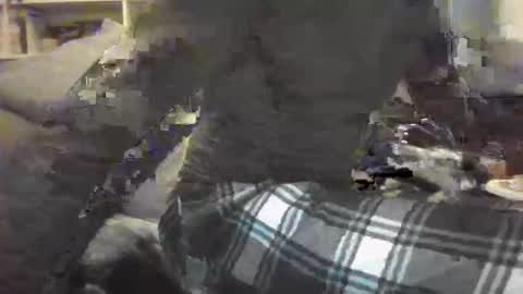 Geon online show from February 28, 7:13 pm