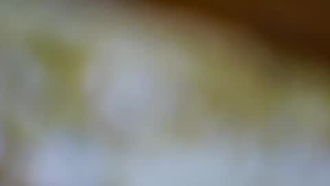 germanandy71 online show from November 17, 11:57 am