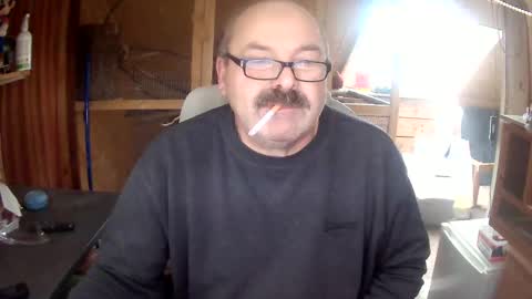 germany_50 online show from November 3, 3:14 pm