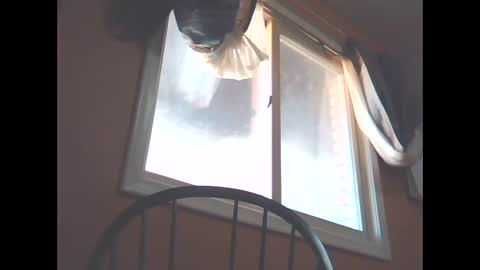 bonngar online show from March 1, 8:21 pm