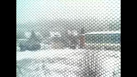 google5001 online show from January 11, 7:56 am