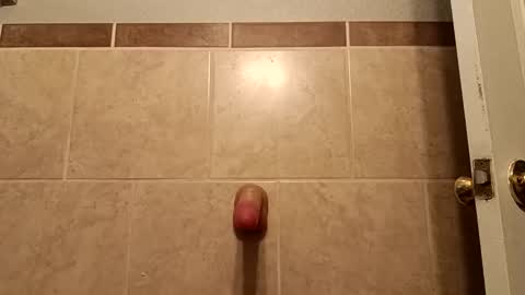 Snapshot of greatgoddamnsatan chatting on February 27, 11:37 pm Lord Satan online show from February 27, 11:37 pm