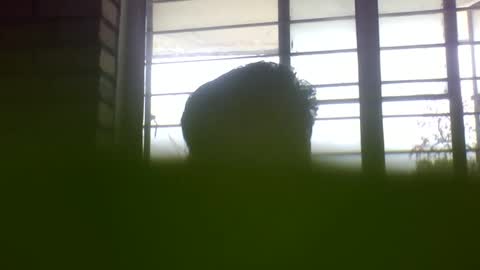 Grey Stud online show from February 17, 6:20 am