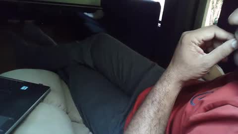 Grey Stud online show from February 20, 9:00 am