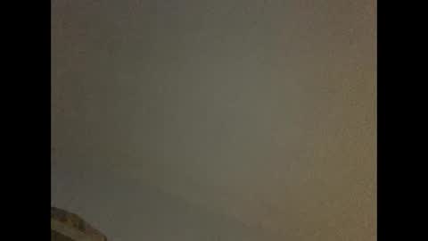 Snapshot of greyvan96 chatting on February 5, 8:43 am Perfectlyaveragesavage online show from February 5, 8:43 am