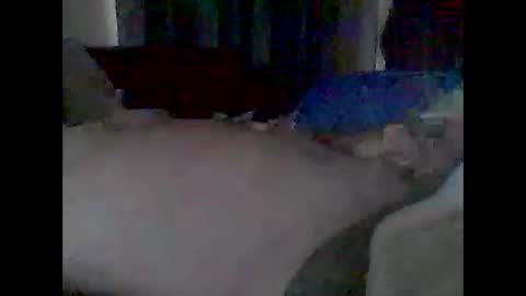 grittslappa online show from February 23, 12:23 am