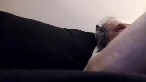 Marty online show from October 28, 2:03 am