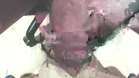 hammerhard1 online show from February 19, 12:01 pm