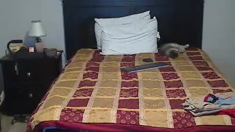 hammerthatthang73 online show from April 10, 8:21 am