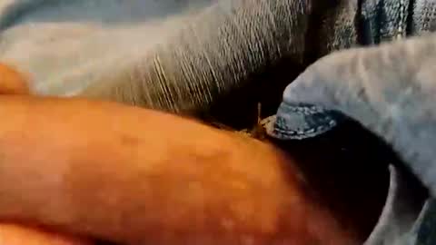 hardandhorny422 online show from January 12, 6:56 pm