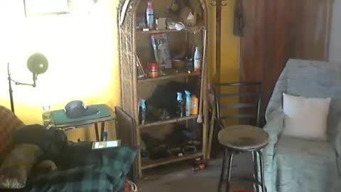 john nobles online show from October 31, 9:51 pm