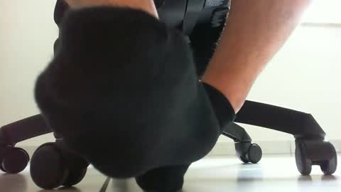 hardpornz online show from December 23, 11:08 am