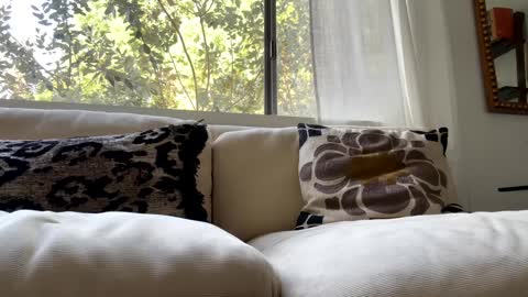 Snapshot of hippybiker chatting on February 9, 4:18 pm hippybiker online show from February 9, 4:18 pm