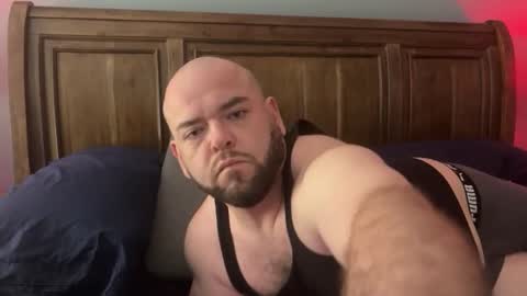 hornazzbear online show from February 9, 6:01 pm