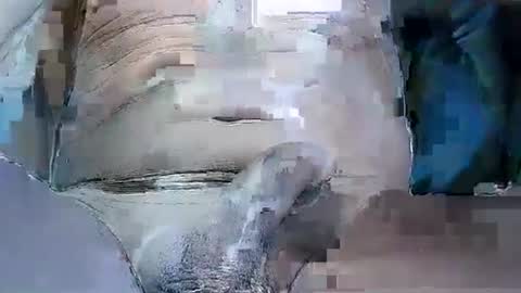 Snapshot of hornytomuk1 chatting on February 22, 8:29 am hornytomuk1 online show from February 22, 8:29 am