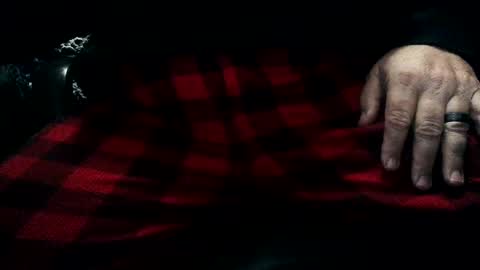 horsesaslife online show from February 25, 2:00 pm