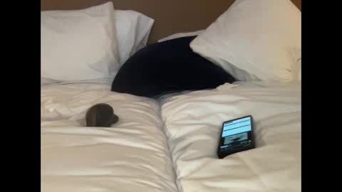 Snapshot of ic987 chatting on December 7, 5:20 pm ic987 online show from December 7, 5:20 pm