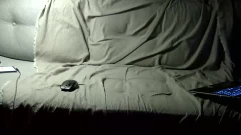 AprilFool online show from February 7, 11:17 am