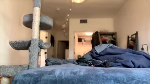 imlightskn online show from February 20, 1:25 am