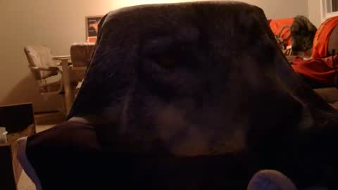 jameswolf777 online show from November 10, 7:46 am