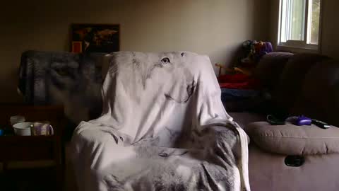 Snapshot of jameswolf777 chatting on September 10, 1:48 am jameswolf777 online show from September 10, 1:48 am