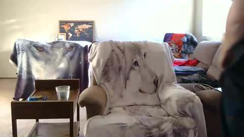 Snapshot of jameswolf777 chatting on September 28, 12:08 am jameswolf777 online show from September 28, 12:08 am