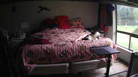 Grand Zaddy or Jay its casual online show from December 24, 5:23 pm