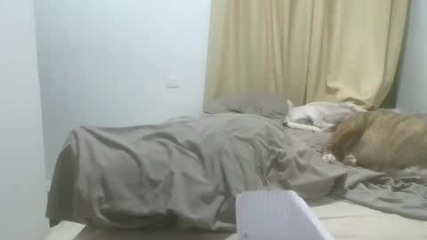 JC NATTY online show from November 30, 4:47 am