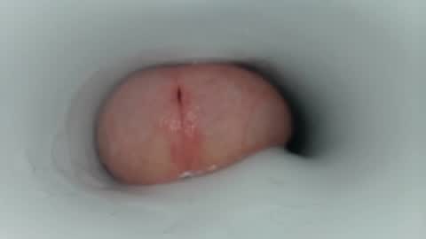 jeffrodgerschaturbat online show from January 15, 3:32 am