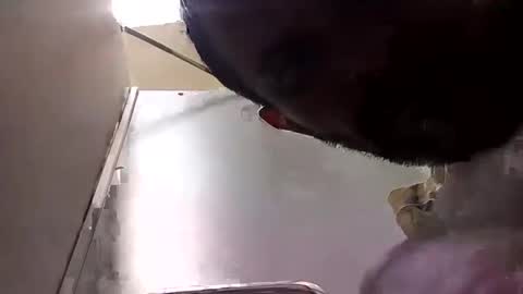 Join me online show from April 29, 10:49 pm