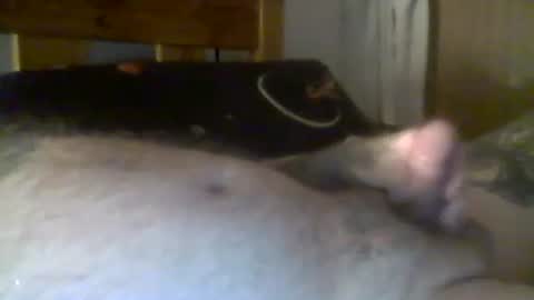 jerkmate6666 online show from December 17, 12:12 am