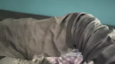 Jigz1986 online show from March 2, 10:11 am