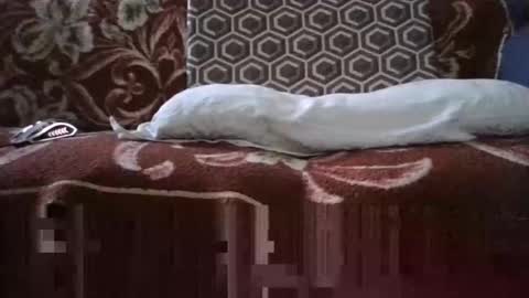 jimmyshelby12 online show from January 25, 6:34 am