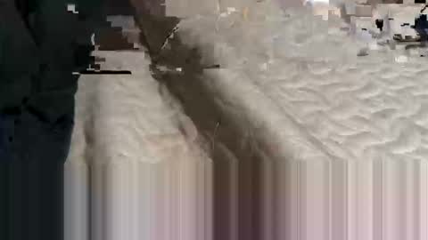 jocmyv9wokry online show from January 6, 3:32 am