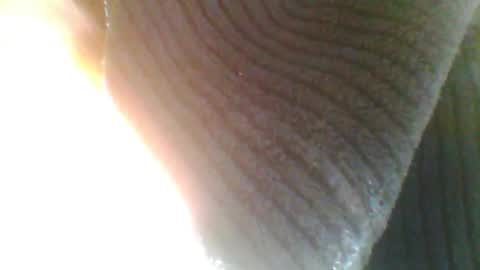 John Death online show from January 29, 2:53 pm