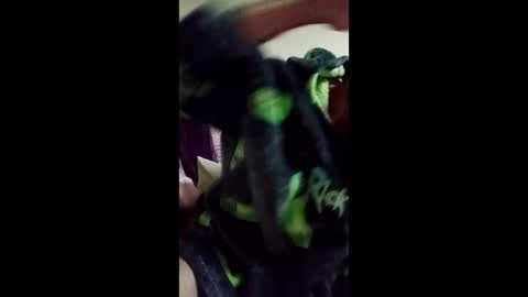 kactuses online show from December 5, 6:15 pm