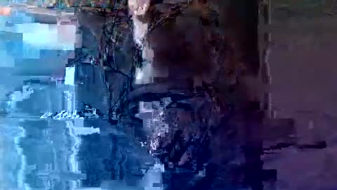 Karlos Montoya online show from April 23, 7:57 am