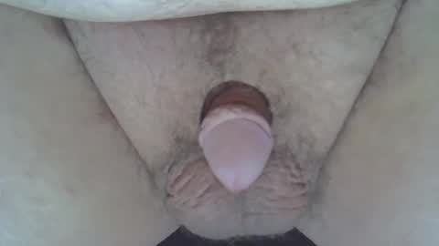 maggot online show from December 28, 6:39 am