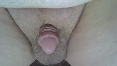 maggot online show from March 8, 8:19 am