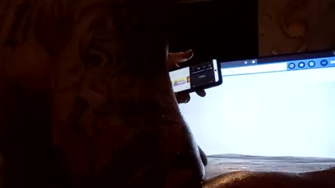 kikelst13 online show from September 11, 9:30 am