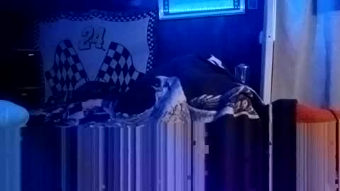 knock2wice1975 online show from January 20, 4:32 am